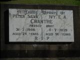 image of grave number 499650
